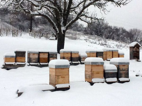 bienenstoecke_im_winter